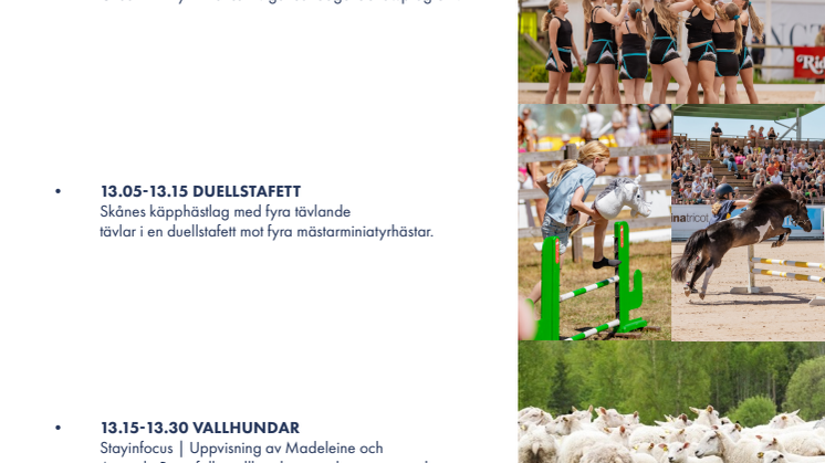 Showprogram söndag 7 juli.pdf