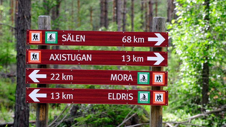 Nyheter inför CykelVasan – miljonbelopp har investerats i VasaloppsArenan