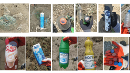 plastic litter.png
