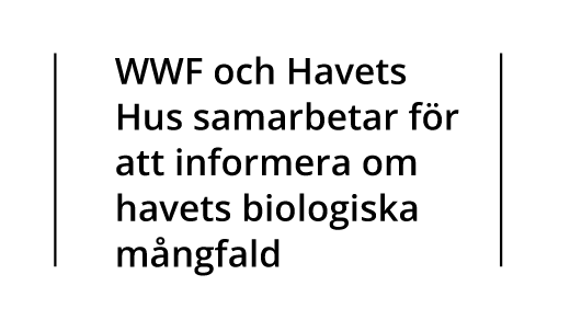 Havets Hus_WWF_partnership_SW.png