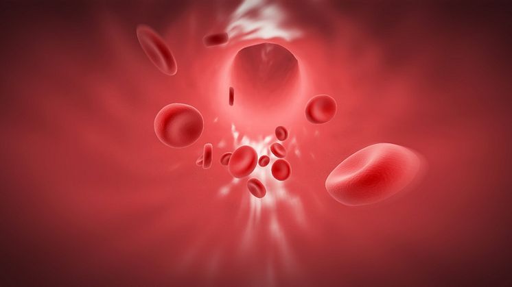 Ribo & Ribocure successfully completed enrolment and dosing in the Phase 1 clinical trial, with world’s first siRNA drug targeting coagulation factor XI (FXI)