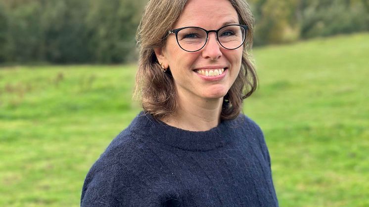Eva Pettersson Görs, Regisör, Resan till det magiska landet