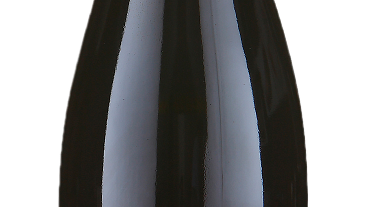 chave-crozes-hermitage-silene-750-ml.png