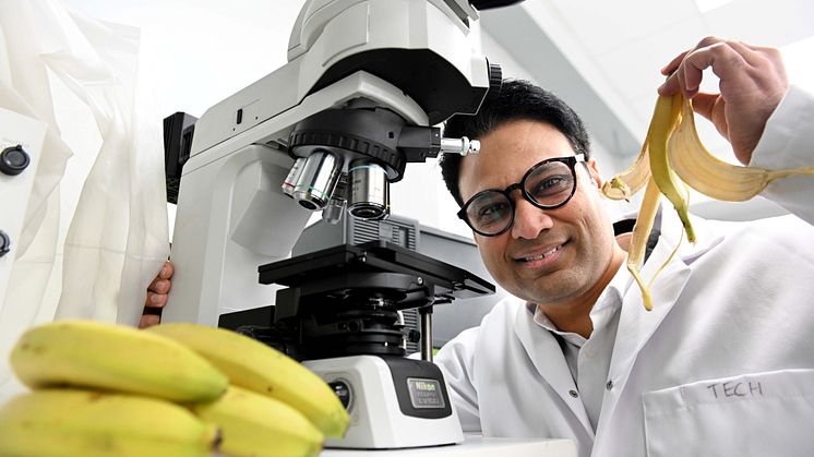 Banana waste to be converted to green textiles and energy ORIGINAL.JPG