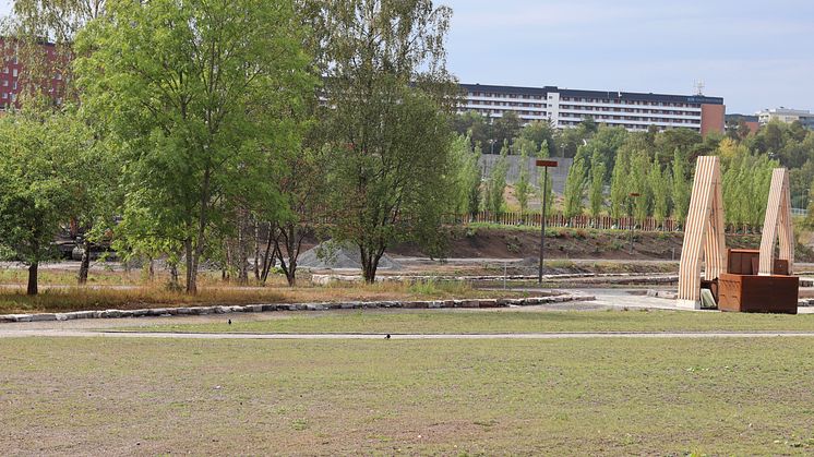 Begravningsplatsen 2024