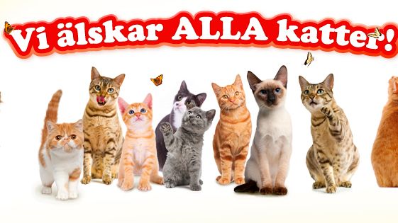 FRISKIES öppnar dörren för alla kattälskare genom Facebook