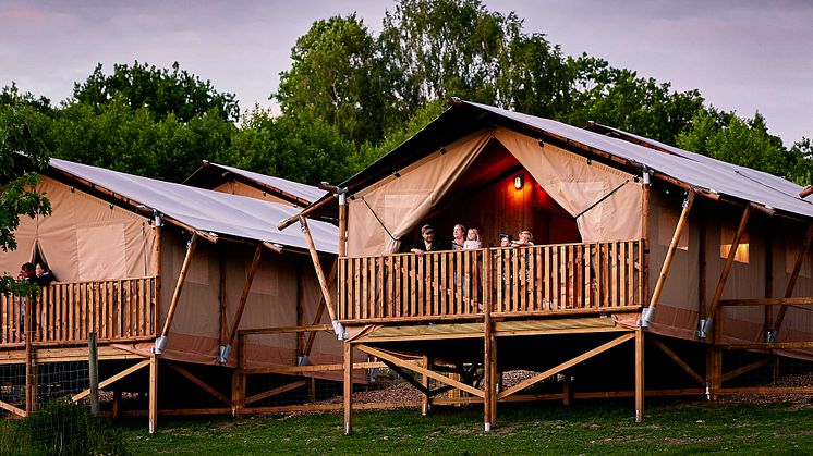 Visit Skånes nominering bygger på att Skånes Djurpark är en unik destination som erbjuder en hela-dygnet-upplevelse bland djur i den skånska naturen. 