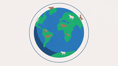 One_goal_better_livestock.png