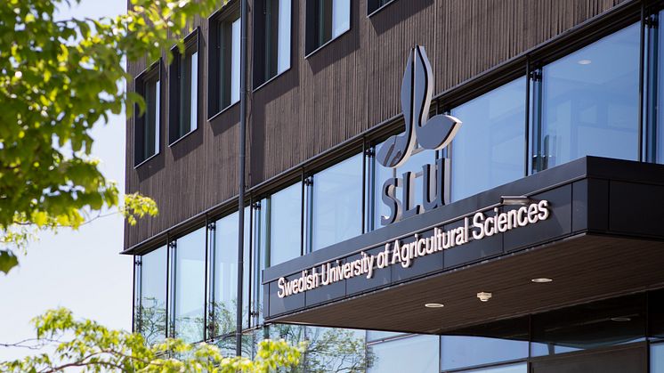 SLU_240522_7258_jsg.jpg