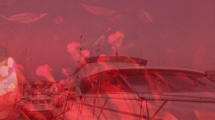 Den 22 mars öppnar Makda Embaies första soloutställning Frukten mognar på Konsthallen Blå Stället.