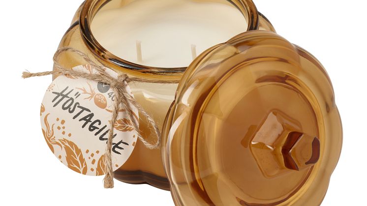 HÖSTAGILLE duftlys i glas 49 DKK.jpg
