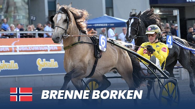 Brenne Borken_1920x1080.jpg