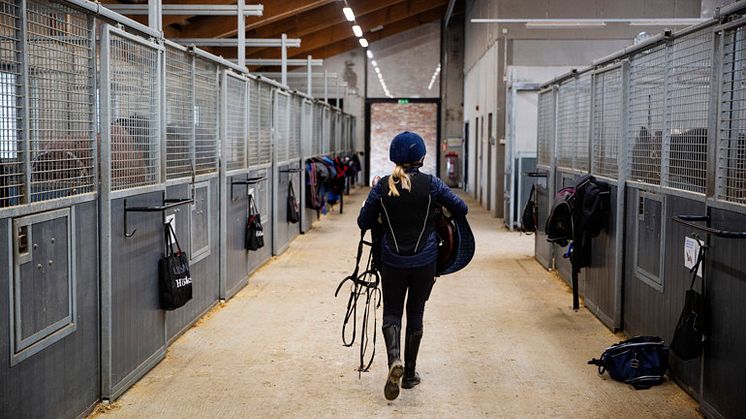 Sociala medier skapar press att leva upp till bilden av den perfekta ryttaren, visar Lovisa Broms i sin avhandling. 