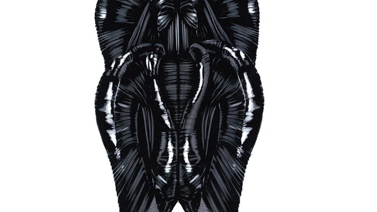 Klänningen gör mannen, illustrationer