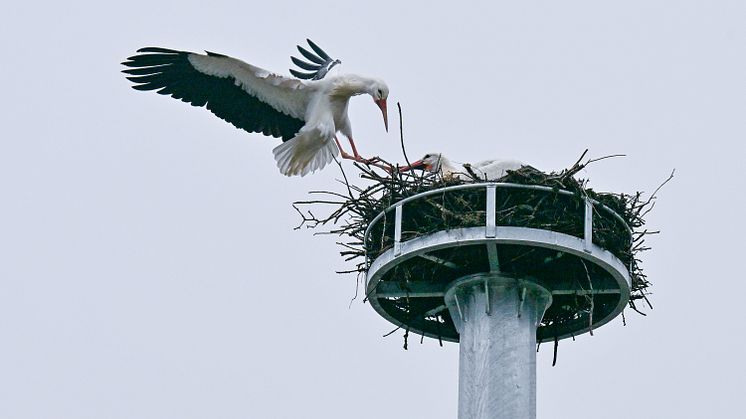 (Foto: LEW / Thorsten Franzisi)