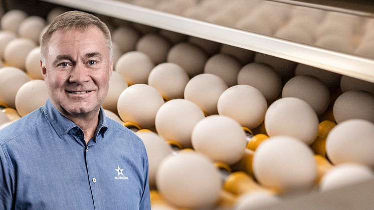 Stjärnägg är Sveriges största äggleverantör och består av tre familjeägda packerier och producenter; KGs Ägg, Skåneägg, Thuressons Hönseri och Västkustägg. Vi bad Håkan Burlin, vd på Stjärnägg AB, berätta om Stjärnägg AB, som märker med Från Sverige.
