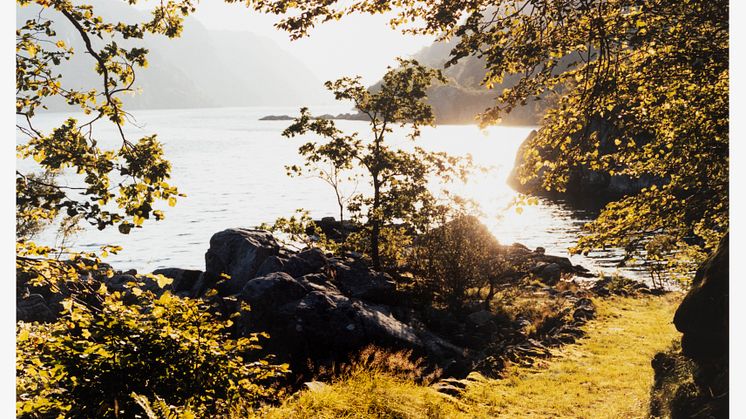 Mette Tronvoll, 06.09.24, Color photograph from color negative. Photo Øystein Thorvaldsen. ©Mette Tronvoll BONO.jpg