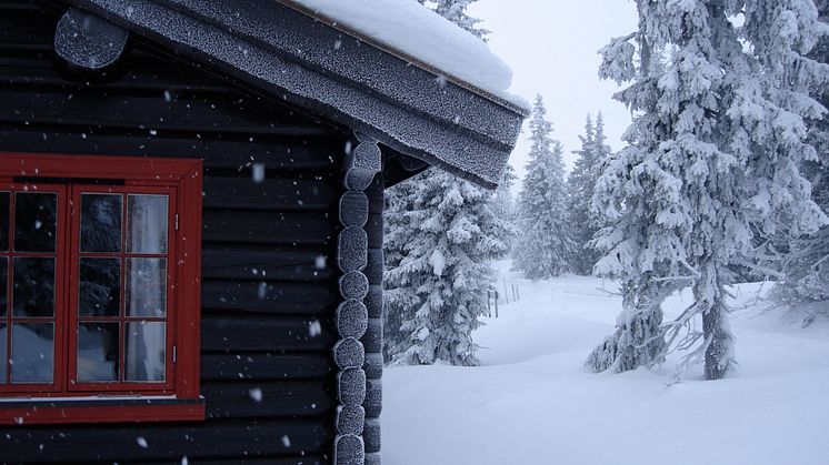 Smart control solutions for heating, electricity, and security in the cabin market.