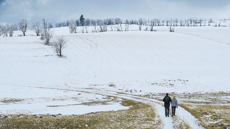 Winterwandern im Osterzgebirge (Foto: Lukas Häuser)