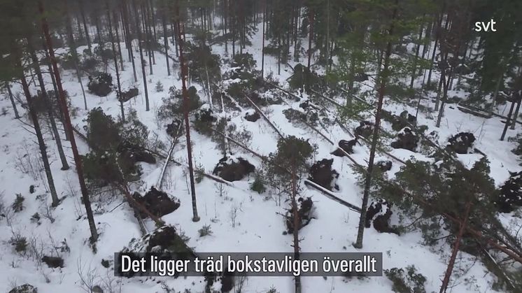 Umeå Energi - casefilm till Stora kommunikationspriset 2025
