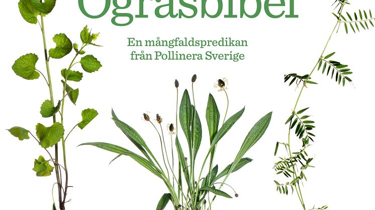 PR-bild Ogräsbibel.jpg
