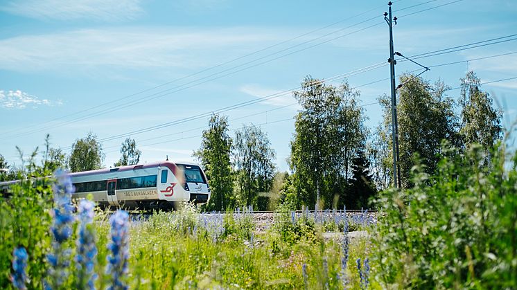 tag-i-bergslagen-regina-pressbild.jpg