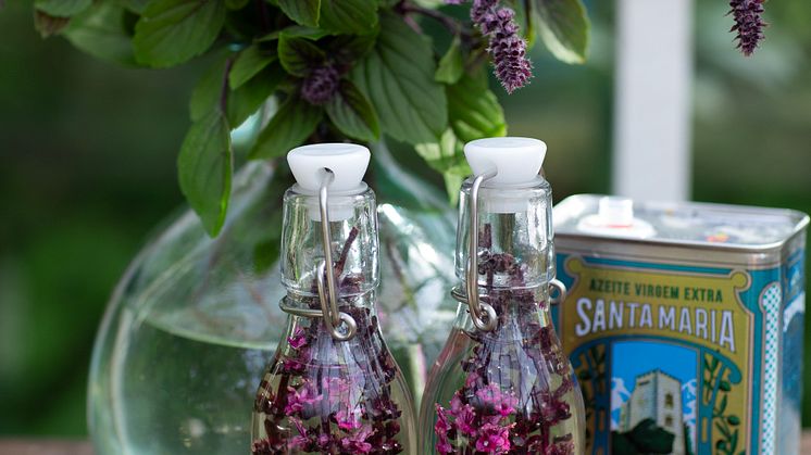 Årets Sommarblomma 2025 51 Blomsterbasilika Magic Vinäger Snitt foto annikasnaturligating.jpg