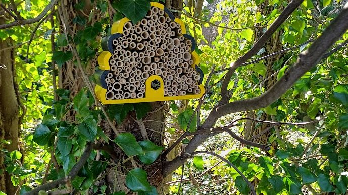 Homes for Nature installed at Purley.jpg