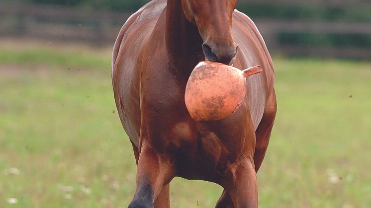 Going Kronos i Olympiatravet