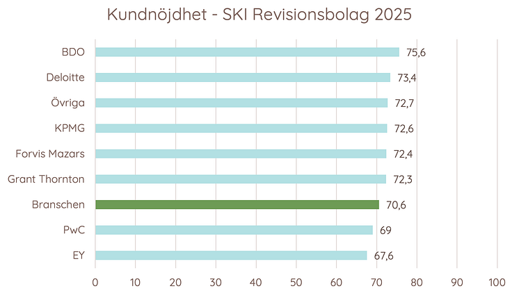 Kundnöjdhet Revision 2025.png
