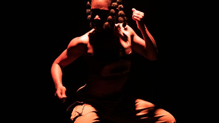 Company Nicolas Huchard - The barefoot diva