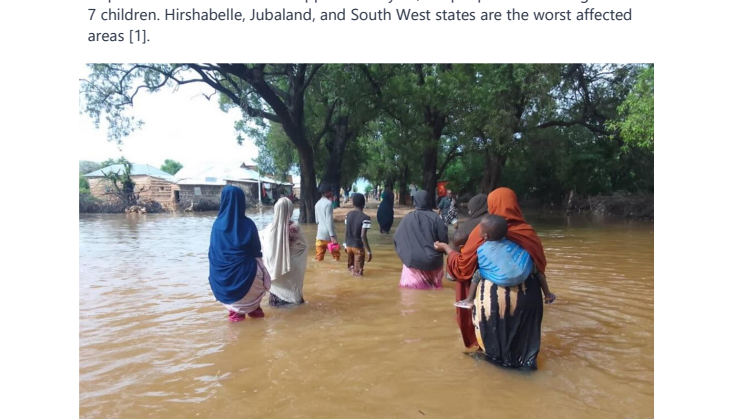 Report on Somalia Floods and Climate Change Impact.pdf