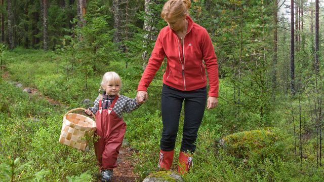 Naturbarometern 2011 - Svenskarna är ett naturälskande folk. 