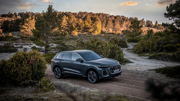 Audi Q5 (Daytonagrå perleeffekt)