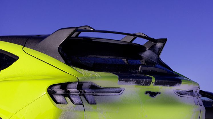 2024 Mustang Mach-E Rally Gol (8).jpg
