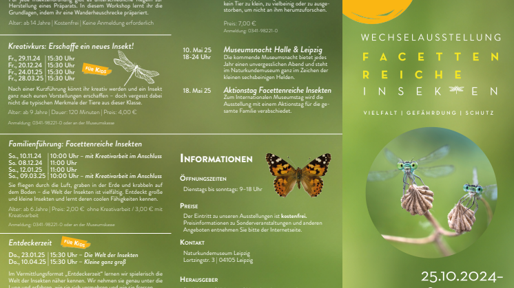 Begleitprogramm - Facettenreiche Insekten.pdf