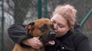 Klinton är Årets Bragdhund 2009!