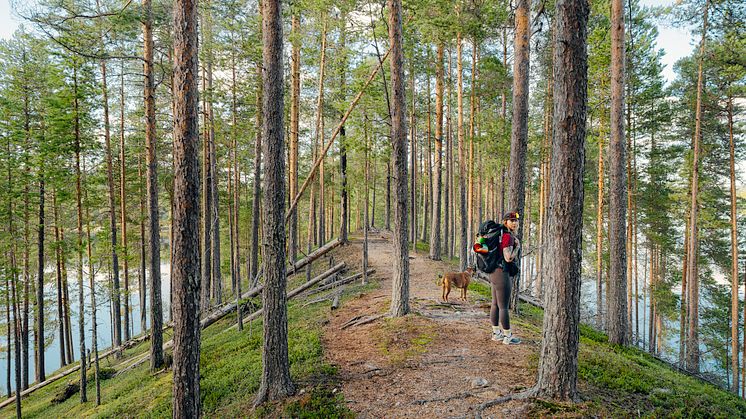 Isälvsleden