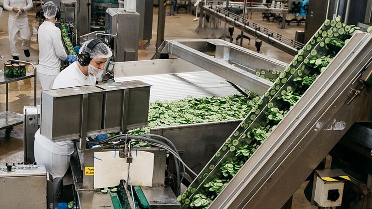Orkla i Eslöv söker 50 nya medarbetare inför sommarens gurksäsong