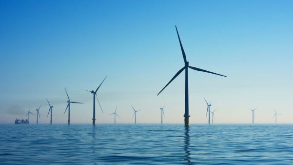 A-LEAF: Pioneering specialized consulting solutions for multiple industries