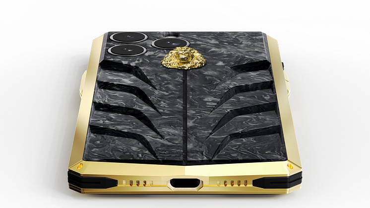 RS15.Lion-G-CFB-11-Detail-Bottom-2 copy.png