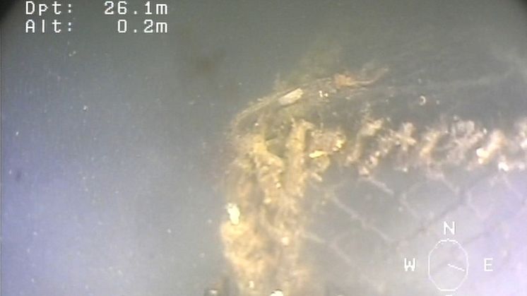 ROV.jpg
