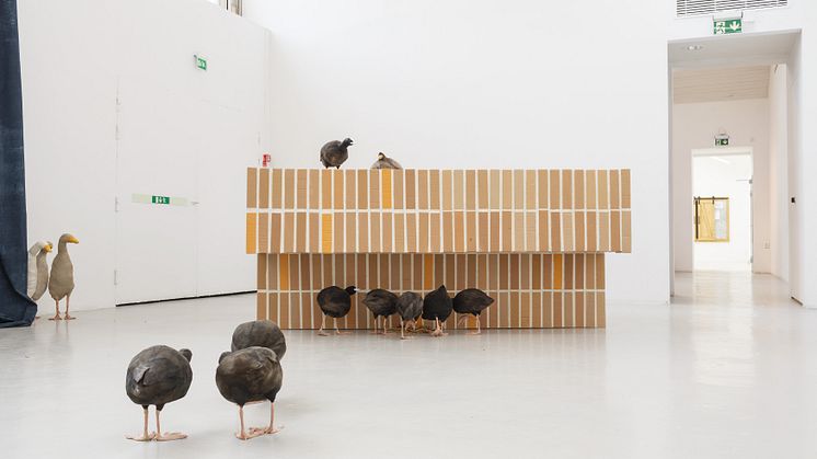 Installationsvy, Den heliga anden, examensutställning, Galleri Mejan 2023. Foto - Barthélémy Garcia.jpg