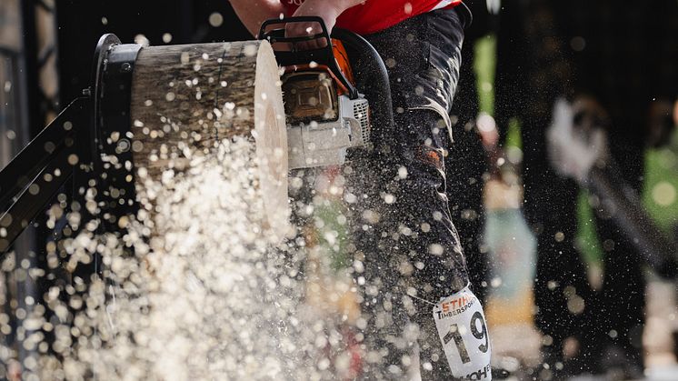 Timbersports_NRC_Andersen_AA_7606.jpg