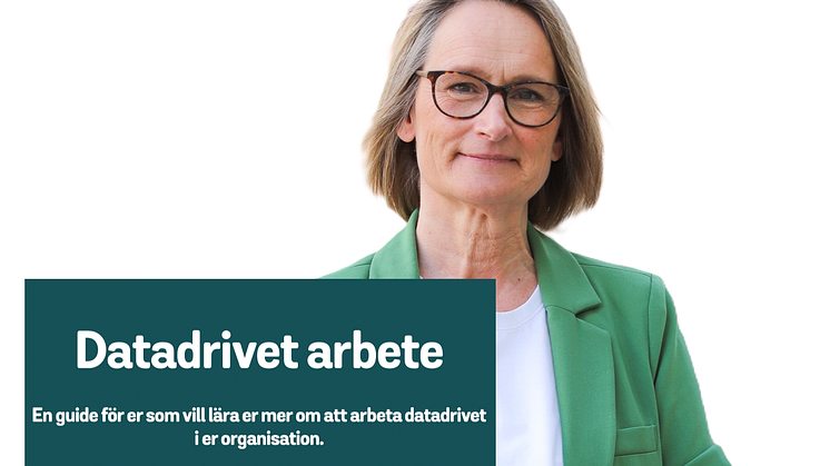 Johanna Karlén, kvalitetschef Swedish Edtech Industry, presenterar ny guide om datadrivet arbete.