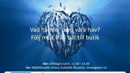 MSC gästar Almedalen! Vad händer med våra hav? Följ med från båt till butik