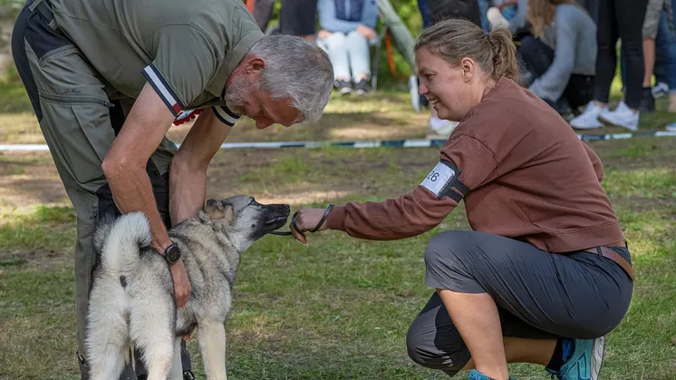 En mann som står over en elghundvalp og kjenner på pelsen, og en kvinne som sitter på huk ved siden av og holder i båndet.