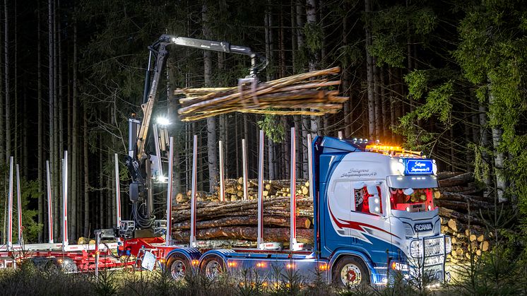 Bioenergy - foto Stefan Nilsson.jpg
