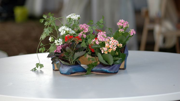 Kalanchoe gör sig bäst i högklackat