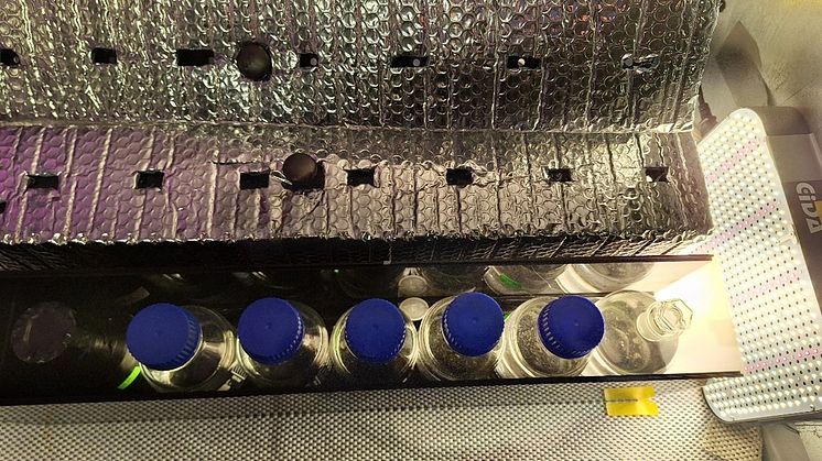 Incubation chambers for measuring carbon and nitrogen uptake in phytoplankton and ice algae